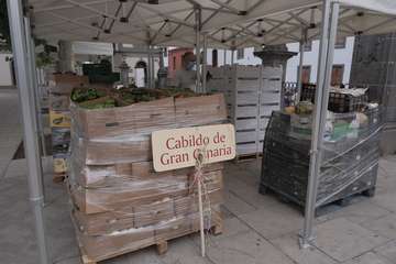 Telde, en la más atípica de las ofrendas a la Virgen del Pino que se haya celebrado en Teror/TA.